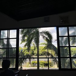 Kang Byun - Looking out