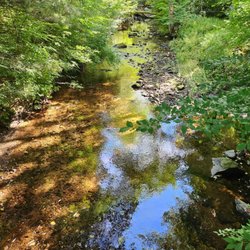 Laughing Brook Wildlife Sanctuary - Laughing Brook