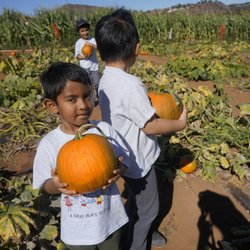 Montessori Child Development Center - Poway