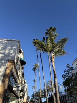 Santa Barbara Farmers Market // Saturday by null