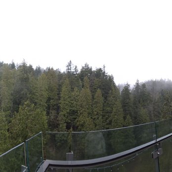 Capilano Suspension Bridge Park - Parks Near Me - North Vancouver, British Columbia