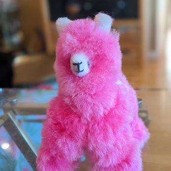 Therapy Stores - Pink llama! - Women's Clothing Near Me - San Francisco, California