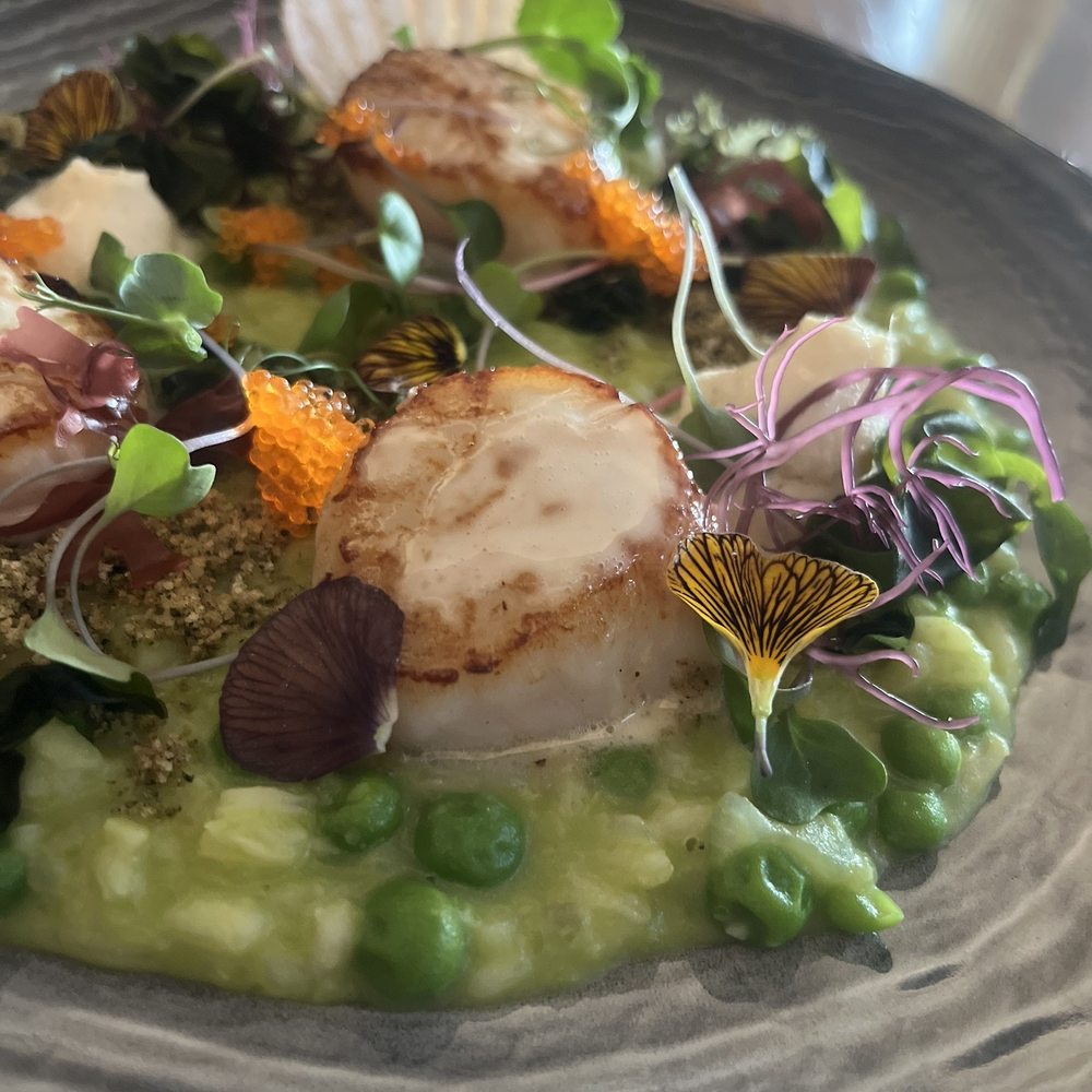 scallops