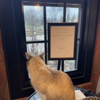 Maker's Mark Distillery - Farm cat "Wisky Jean" - Tours Near Me - Loretto, Kentucky