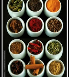 Spice Of Life - Indian Food -