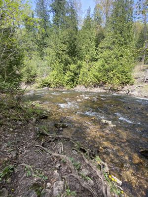 Belfountain Conservation Area by null