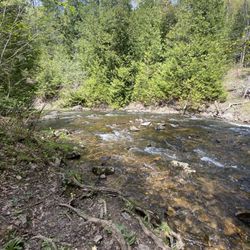 Belfountain Conservation Area