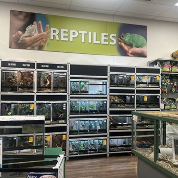 Petland Albuquerque - Pet Stores Near Me - Albuquerque, New Mexico