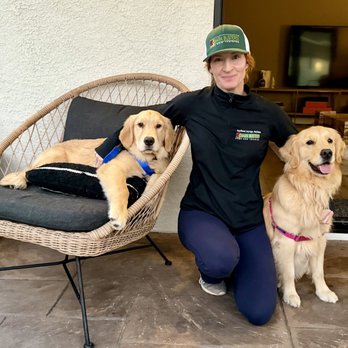 Bark Busters Home Dog Training - Pet Training Near Me Bark Busters Home Dog Training - Pet Training Near Me