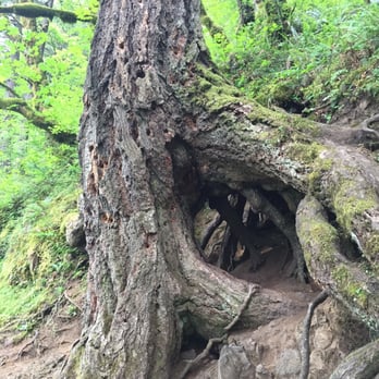 Multnomah Falls - Hiking Near Me - Bridal Veil, Oregon Multnomah Falls - Hiking Near Me - Bridal Veil, Oregon