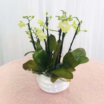 Finks Designs - Orchids for any occasion. - Party & Event Planning Near Me - Miami, Florida Finks Designs - Orchids for any occasion. - Party & Event Planning Near Me - Miami, Florida