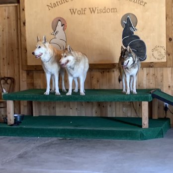 Shadowland Foundation - Community Service/Non-Profit Near Me - Lake Hughes, California Shadowland Foundation - Community Service/Non-Profit Near Me - Lake Hughes, California