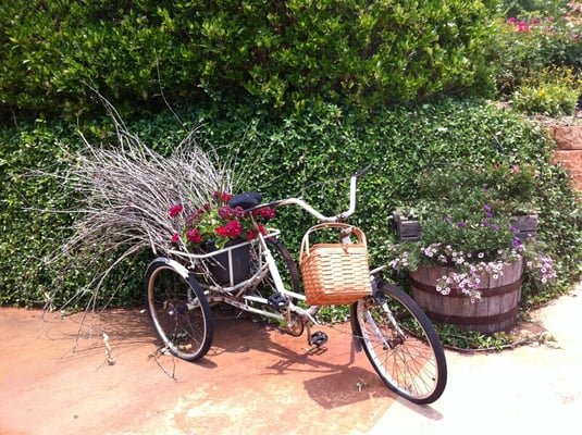 Wolf Mountain Vineyards by null