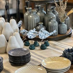 The Plant Hatch - Home Decor items