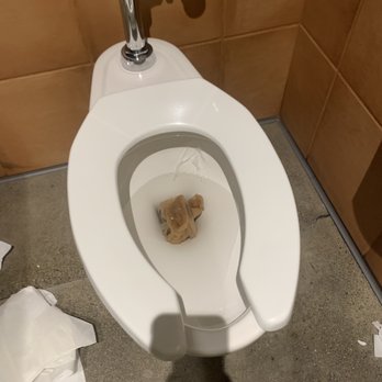 Hazy Barbecue - Filthy and dirty. Looks like someone used the last of the paper towels as toilet paper- since there wasn't any. - Salad Near Me - Danville, California