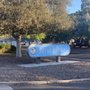 Boat Park