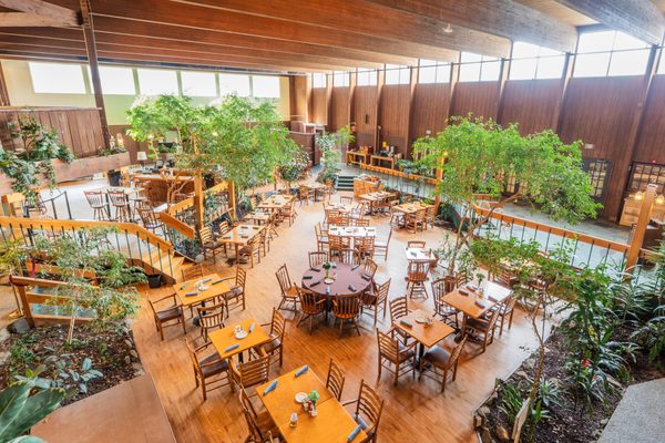 Garden Court Restaurant by null