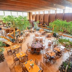 Garden Court Restaurant - Garden Court Restaurant