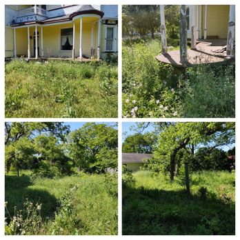 Pro National Tree Service - this was before with the tard overgrown and wood and trash hidden in the tall weeds and grass - Tree Services Near Me - Cleveland, Texas