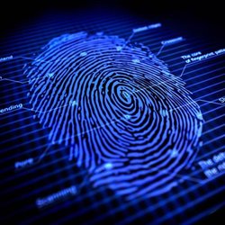 Krimson Security & Fingerprinting