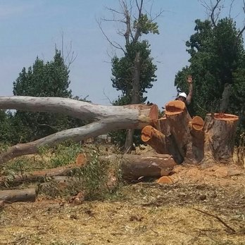 A New Leaf Tree Care - A smile and a hand wave goes a long way at "A New Leaf" Tree Care. - Tree Services Near Me A New Leaf Tree Care - A smile and a hand wave goes a long way at "A New Leaf" Tree Care. - Tree Services Near Me