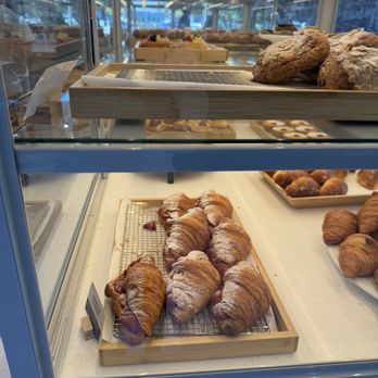 Paris Baguette - Bakeries Near Me - Santa Rosa, California Paris Baguette - Bakeries Near Me - Santa Rosa, California