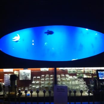 Sea Witch - Fish tank - Lounges Near Me - Brooklyn, New York Sea Witch - Fish tank - Lounges Near Me - Brooklyn, New York