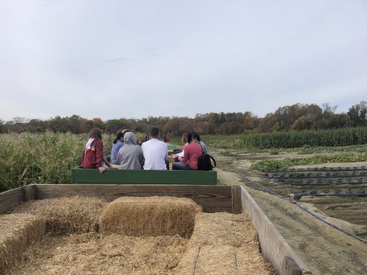 Springdale Farm Market by null