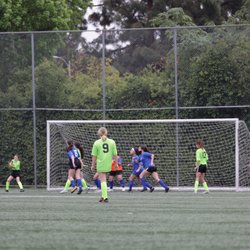 Arcadia City Hall Soccer Field - It's a really nice goal and field