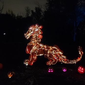Jack's Pumpkin Glow - It's a dragon~ - Festivals Near Me - Lisle, Illinois