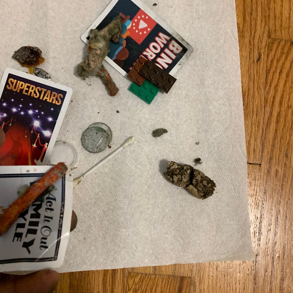 Sonic Air Duct - Debri and dog poop - Air Duct Cleaning Near Me - Bellevue, Washington Sonic Air Duct - Debri and dog poop - Air Duct Cleaning Near Me - Bellevue, Washington
