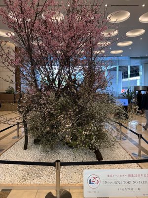 Tokyo Dome Hotel by null