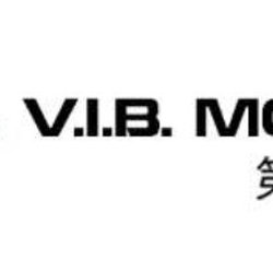 VIB Motors