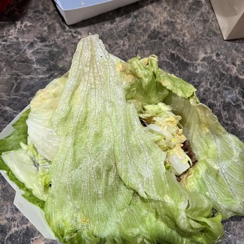 Dog Haus Biergarten - Sandwich of lettuce - New American Near Me - Pasco, Washington Dog Haus Biergarten - Sandwich of lettuce - New American Near Me - Pasco, Washington