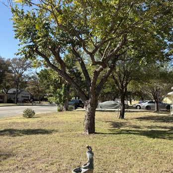 Los Tres Hermanos Tree service - Tree Services Near Me Los Tres Hermanos Tree service - Tree Services Near Me