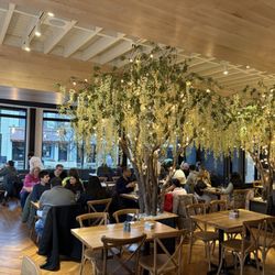 Willow & Whisk - Interior.