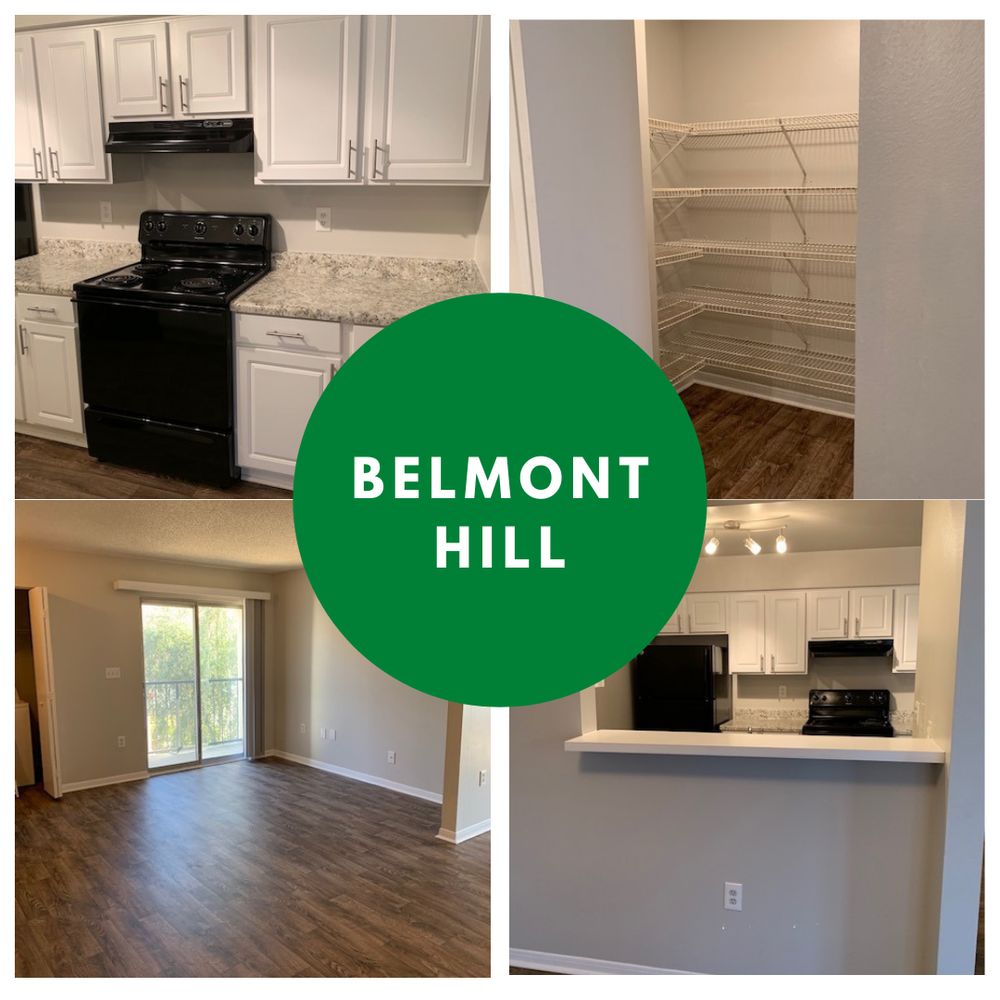 Photos of BELMONT HILL APARTMENTS Updated August 2024 15 Photos