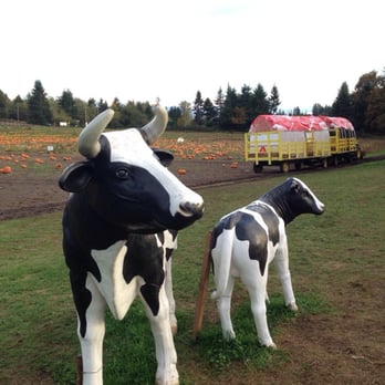 Thomasson Family Farm - Wagon rides on the farm to the patch - Pumpkin Patches Near Me - Enumclaw, Washington Thomasson Family Farm - Wagon rides on the farm to the patch - Pumpkin Patches Near Me - Enumclaw, Washington