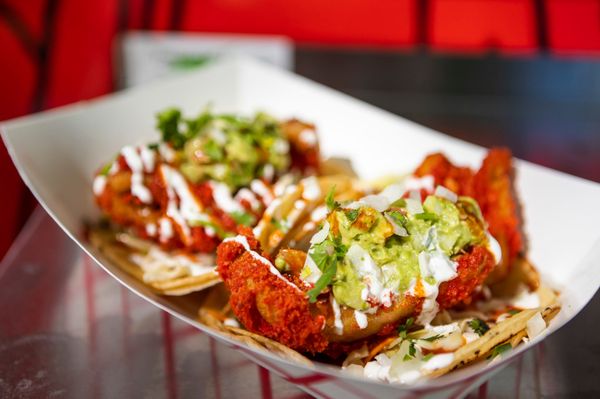 Hungry Nomads Boston by null