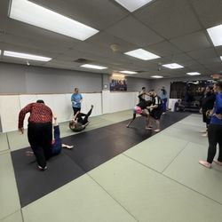 Siren Jiu Jitsu