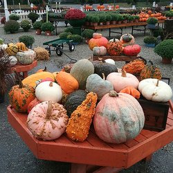Lambert's Nurseries and Garden Center