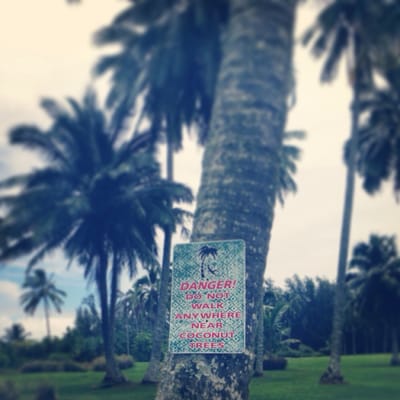 Kahanu Garden, National Tropical Botanical Garden by null