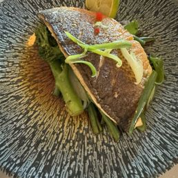 Miso sea bass