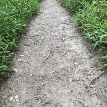 Chalk Ridge Falls Park - I love to walk on a path with green grass on both sides - Parks Near Me - Belton, Texas Chalk Ridge Falls Park - I love to walk on a path with green grass on both sides - Parks Near Me - Belton, Texas