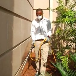 Magnum Pest Control - Quality pest control
