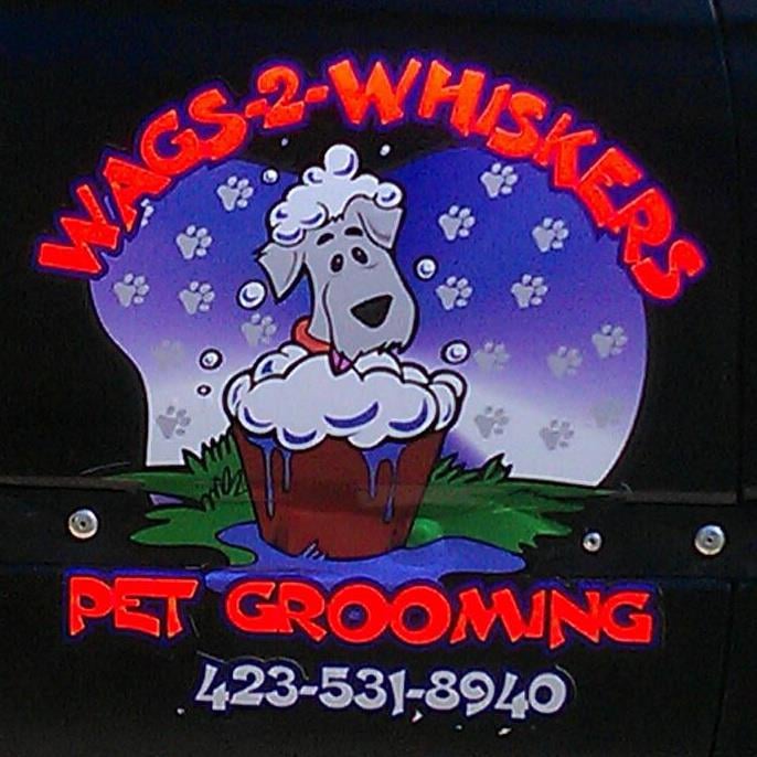 WAGS2WHISKERS PET GROOMING Updated September 2024 22 Photos