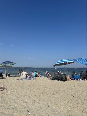 Greenwich Point Park by null