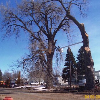 Pro Tree Service - Tree Services Near Me - Sioux Falls, South Dakota Pro Tree Service - Tree Services Near Me - Sioux Falls, South Dakota
