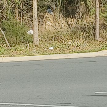Walmart Supercenter - This is the woods aligning walmart where their trash goes - Grocery Near Me - Indian Land, South Carolina Walmart Supercenter - This is the woods aligning walmart where their trash goes - Grocery Near Me - Indian Land, South Carolina