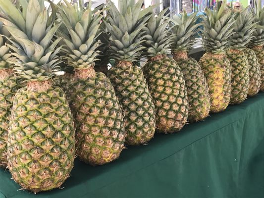 The Green Market at Lincoln Road by null